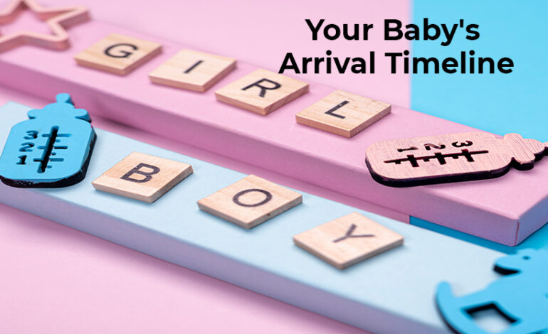 Understanding Your Baby's Arrival Timeline