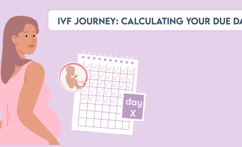 IVF Journey: Calculating Your Due Date